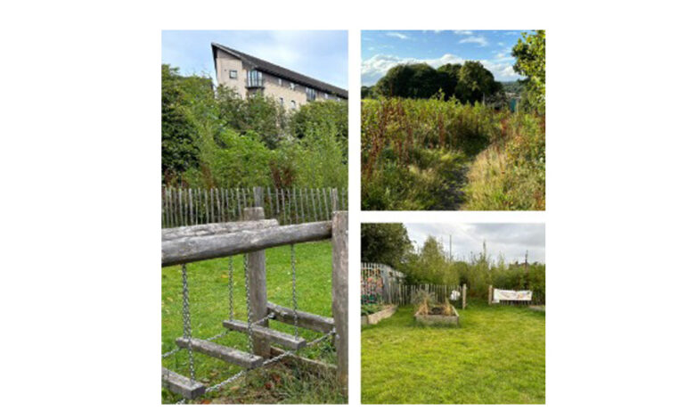 Wee Forests, NatureScot, University of Dundee,